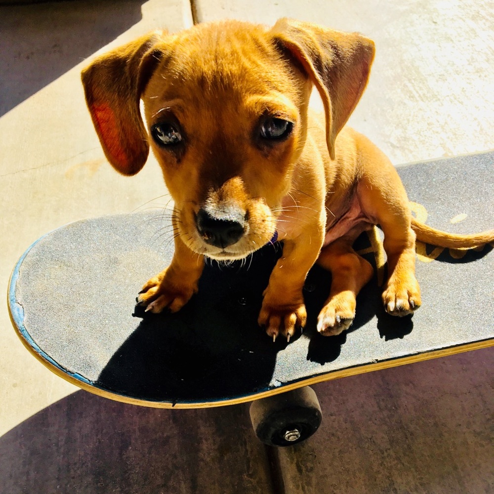 Meet your Posher, Tiffany